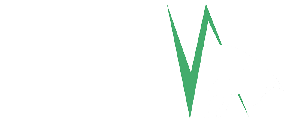 Smart Capital